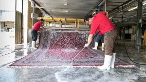 قالیشویی در تهران پارس